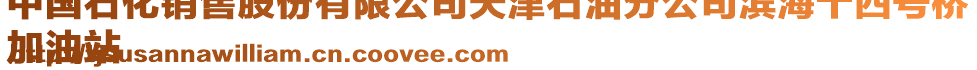 中國(guó)石化銷(xiāo)售股份有限公司天津石油分公司濱海十四號(hào)橋
加油站