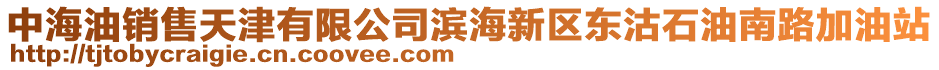中海油銷售天津有限公司濱海新區(qū)東沽石油南路加油站