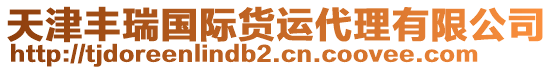 天津豐瑞國際貨運(yùn)代理有限公司