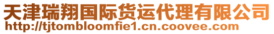 天津瑞翔國際貨運(yùn)代理有限公司