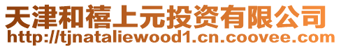天津和禧上元投資有限公司