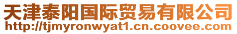 天津泰陽(yáng)國(guó)際貿(mào)易有限公司