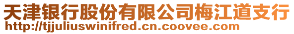 天津銀行股份有限公司梅江道支行