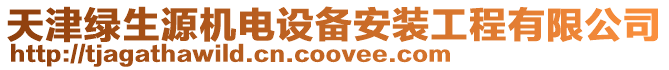 天津綠生源機(jī)電設(shè)備安裝工程有限公司