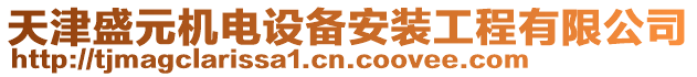 天津盛元機電設備安裝工程有限公司