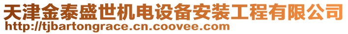 天津金泰盛世機(jī)電設(shè)備安裝工程有限公司