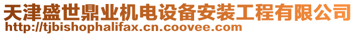 天津盛世鼎業機電設備安裝工程有限公司