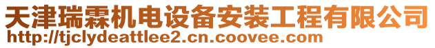 天津瑞霖機電設(shè)備安裝工程有限公司