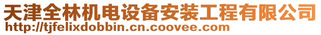 天津全林機(jī)電設(shè)備安裝工程有限公司