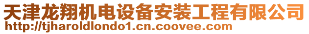 天津龍翔機(jī)電設(shè)備安裝工程有限公司