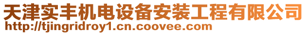 天津實豐機電設備安裝工程有限公司