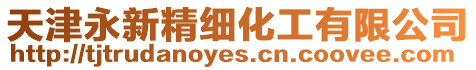 天津永新精細(xì)化工有限公司