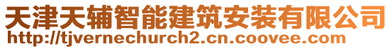 天津天輔智能建筑安裝有限公司