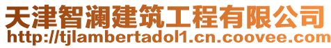 天津智瀾建筑工程有限公司