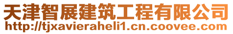 天津智展建筑工程有限公司
