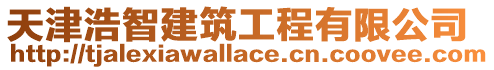 天津浩智建筑工程有限公司