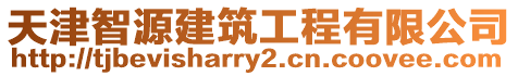 天津智源建筑工程有限公司