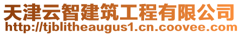 天津云智建筑工程有限公司