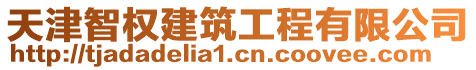 天津智權建筑工程有限公司
