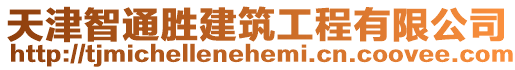 天津智通勝建筑工程有限公司