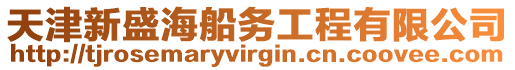 天津新盛海船務工程有限公司
