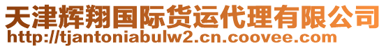 天津輝翔國際貨運代理有限公司