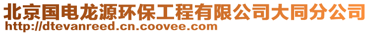 北京國電龍源環保工程有限公司大同分公司