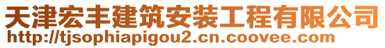 天津宏豐建筑安裝工程有限公司