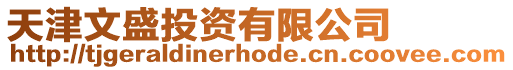 天津文盛投資有限公司