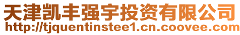 天津凱豐強宇投資有限公司