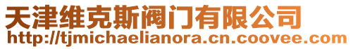 天津維克斯閥門有限公司