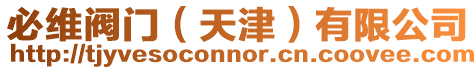必維閥門(mén)（天津）有限公司