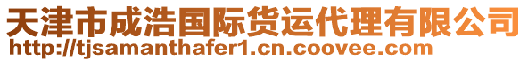 天津市成浩國際貨運代理有限公司