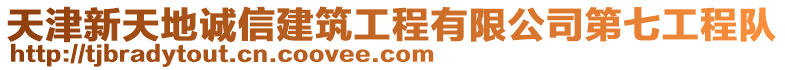 天津新天地誠(chéng)信建筑工程有限公司第七工程隊(duì)