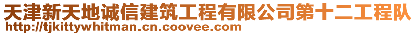 天津新天地誠信建筑工程有限公司第十二工程隊