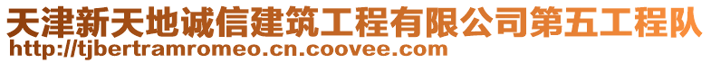 天津新天地誠信建筑工程有限公司第五工程隊
