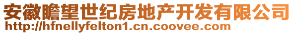 安徽瞻望世紀(jì)房地產(chǎn)開發(fā)有限公司