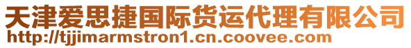 天津愛思捷國際貨運代理有限公司