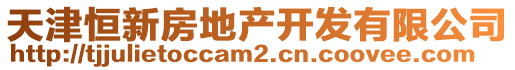 天津恒新房地產(chǎn)開發(fā)有限公司