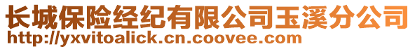 長城保險經(jīng)紀(jì)有限公司玉溪分公司