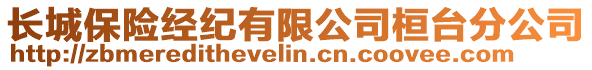 長(zhǎng)城保險(xiǎn)經(jīng)紀(jì)有限公司桓臺(tái)分公司