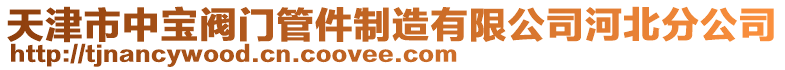 天津市中寶閥門管件制造有限公司河北分公司