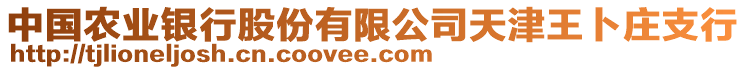 中國農(nóng)業(yè)銀行股份有限公司天津王卜莊支行