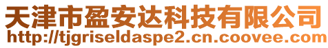 天津市盈安達科技有限公司