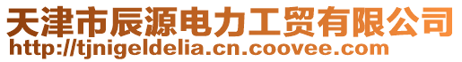 天津市辰源電力工貿(mào)有限公司