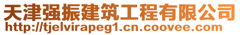 天津強(qiáng)振建筑工程有限公司