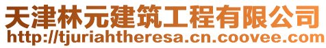 天津林元建筑工程有限公司