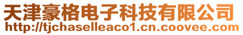 天津豪格電子科技有限公司