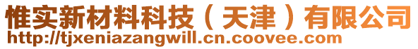 惟實(shí)新材料科技（天津）有限公司