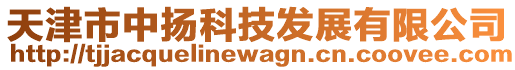 天津市中扬科技发展有限公司